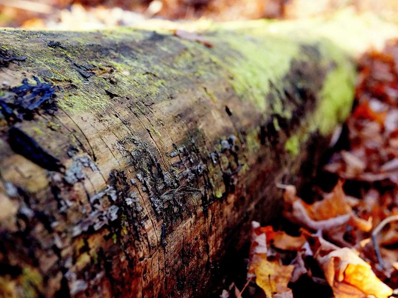 sudoku daily practice screenshot 3